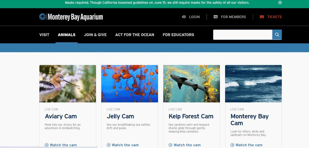 不用网可以学习启蒙英语,学英语必备的8个网站