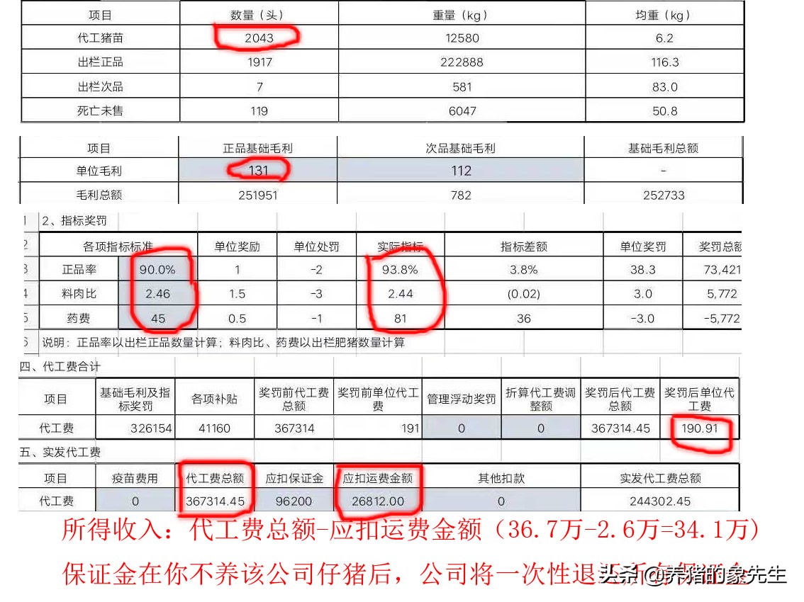 合同养猪赚钱吗,合同养猪靠谱吗