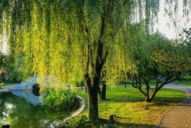 换个角度态度不一样,换个角度未必是坏事