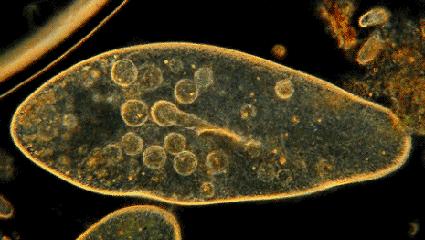 卫生间装修必备东西推荐,现在最流行的卫生间大气又实用的