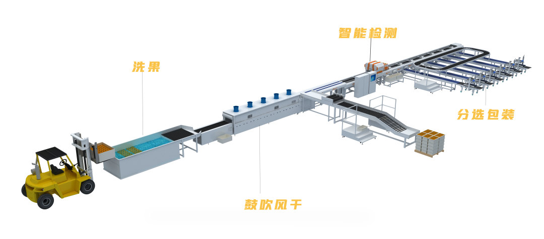 橙子干水了,橙子里面干水是什么原因