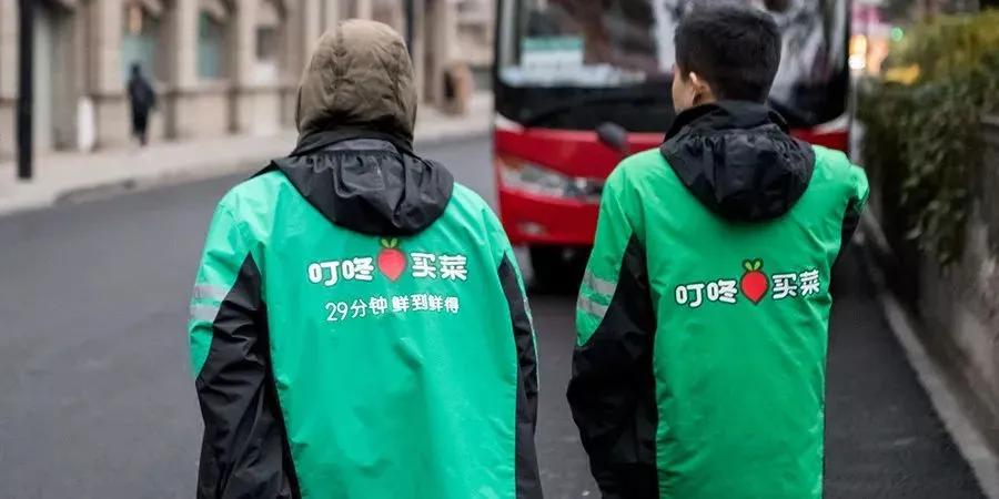 叮咚买菜直聘上海区域分拣员,叮咚买菜苏州分拣招聘最新