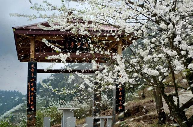 重庆到统景温泉攻略,重庆统景温泉一天旅游攻略