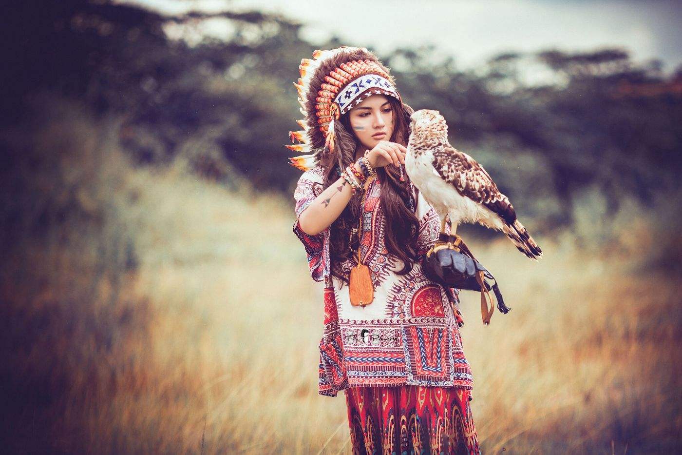 中国人与印第安人有血缘关系吗,印第安人和中国人基因对比央视网