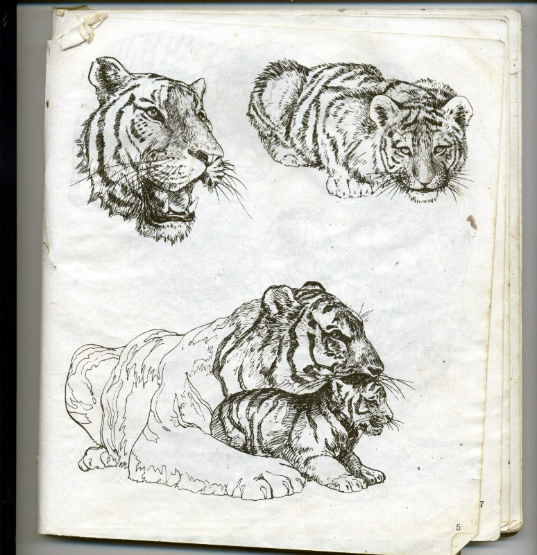 一百幅动物素描,近百幅动物画