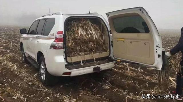 宜商宜家新款皮卡,宜商宜家的皮卡