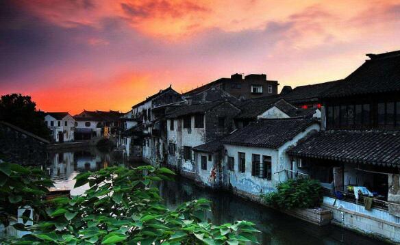 苏州乐园森林公园离拙政园有多远,苏州最出名的园林拙政园怎么介绍