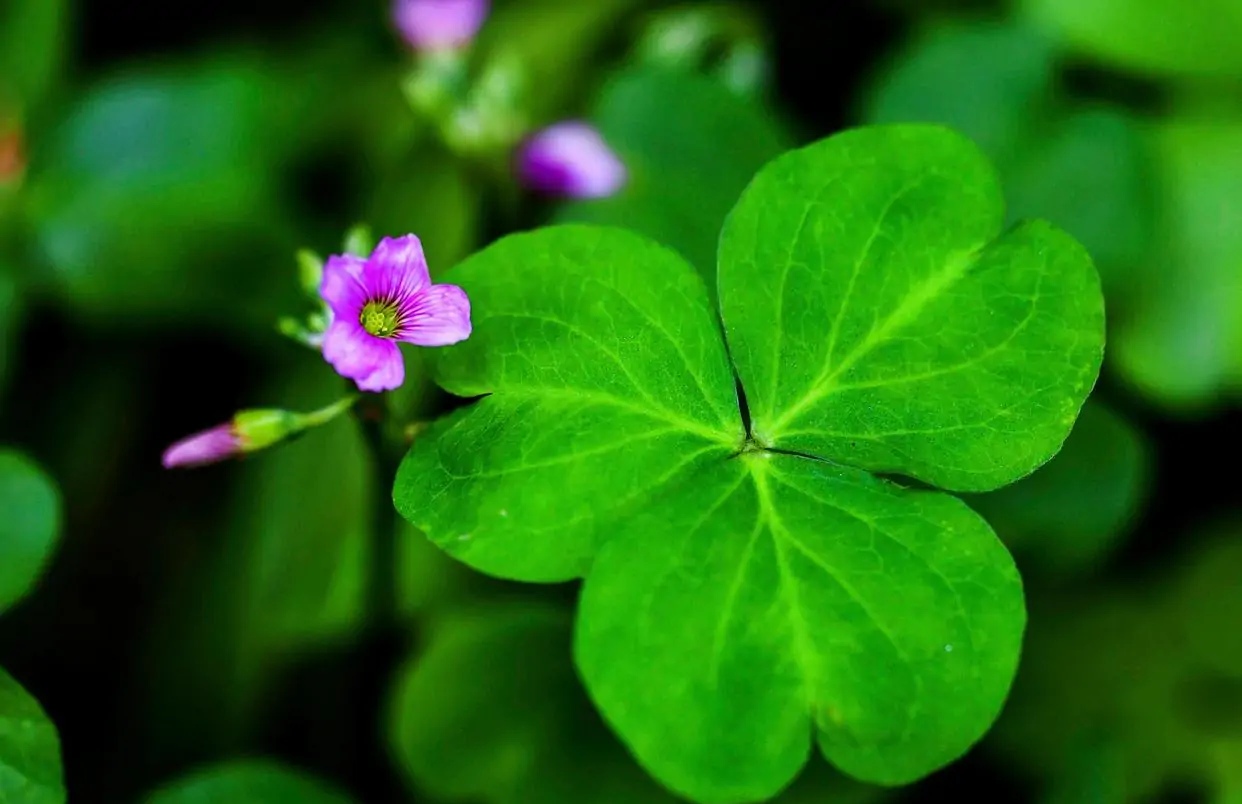 57岁退休阿姨,70岁阿姨哭诉晚年生活苦不堪言