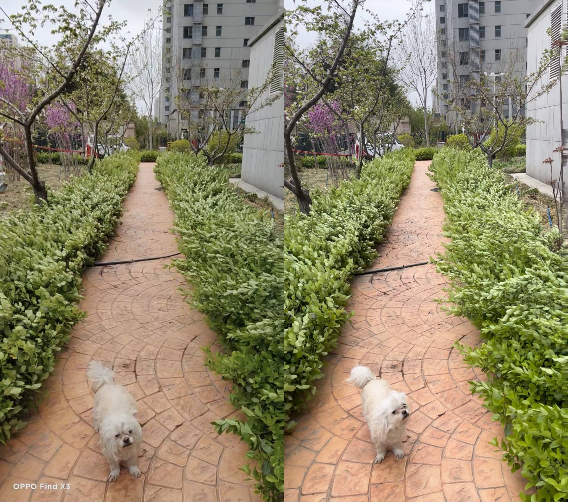 oppofindx3pro能和iphone比吗,oppofindx3真实体验