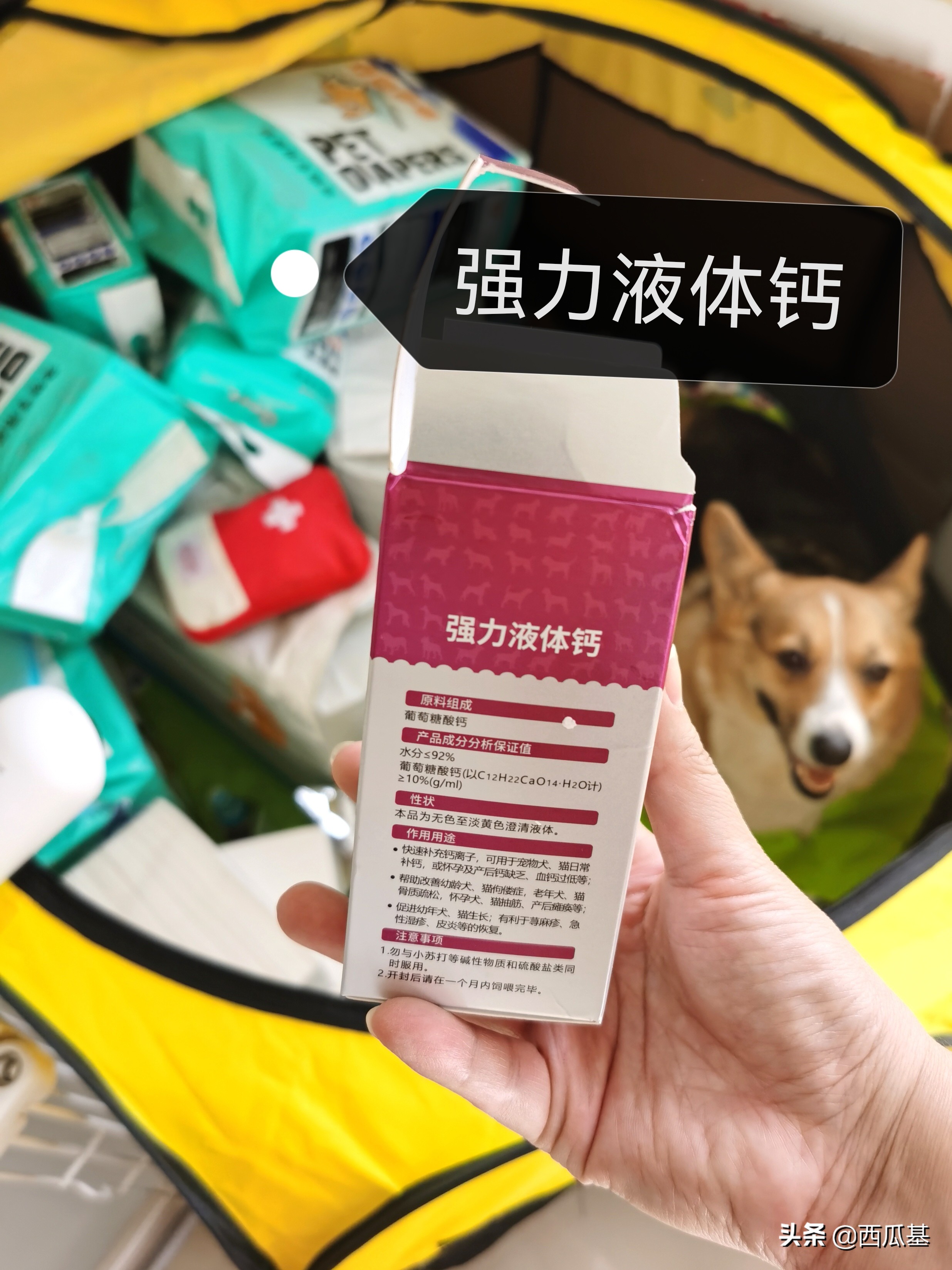 狗狗待产了怎么照顾,狗狗待产表现