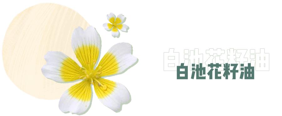 能够代替水乳精华面霜的护肤品,能代替精华的水乳