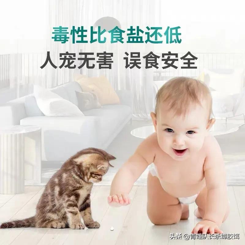 蟑螂的危害性及灭蟑螂方法有哪些,家有蟑螂打什么蟑螂药可以灭蟑螂