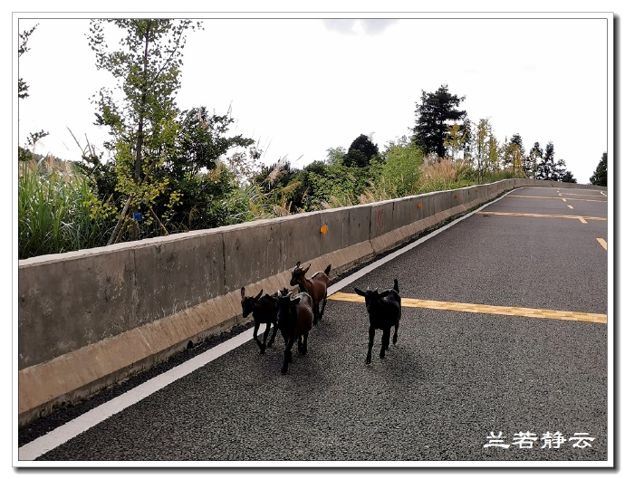福建永泰云顶山风景图片,福州永泰云顶风景如画成避暑胜地