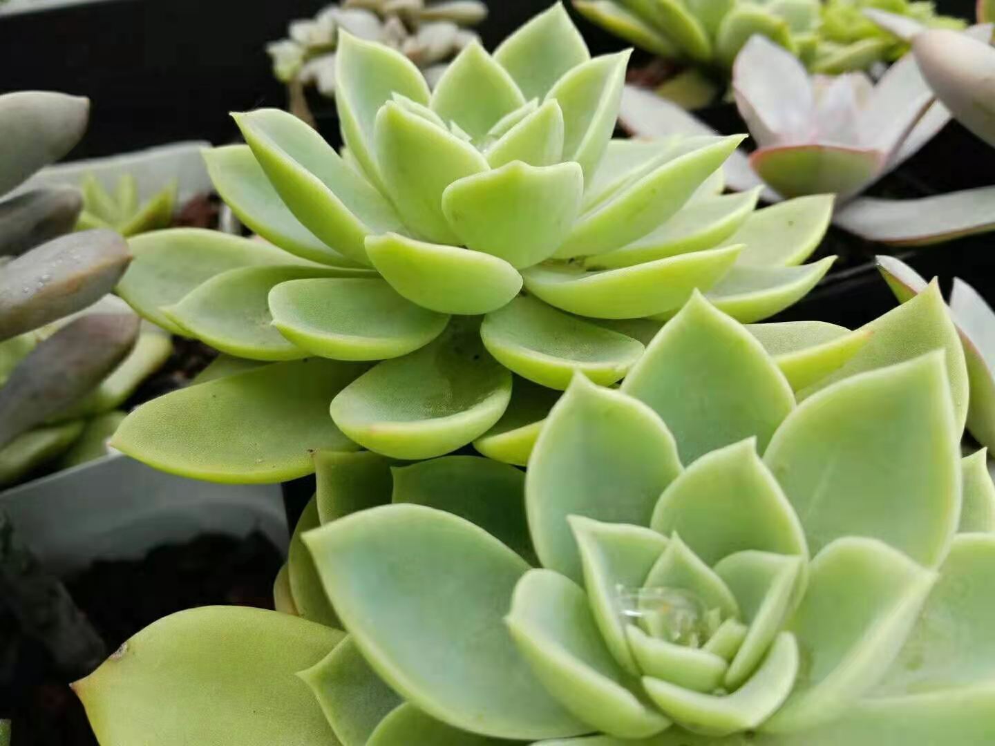 突破层级用什么方法,语文排序题秒杀技巧