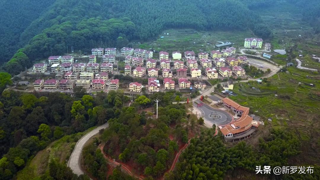 山水园间,心系洋畲