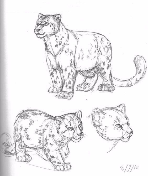 简笔画人物教程大全零基础成人,1000个适合零基础的简笔画教程