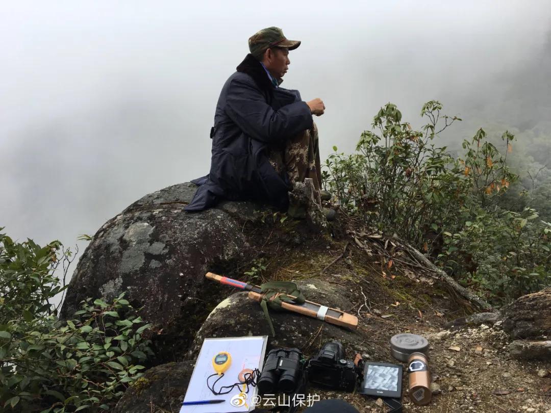 一群90后学霸，嚷嚷着要给它们找对象：自己单身不要紧