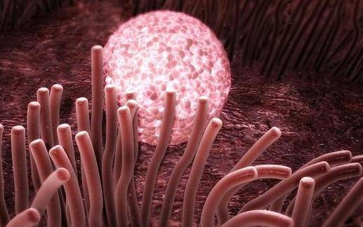 怀孕25天做了胸透宝宝能要吗,怀孕两个月做了胸透内检还能要吗