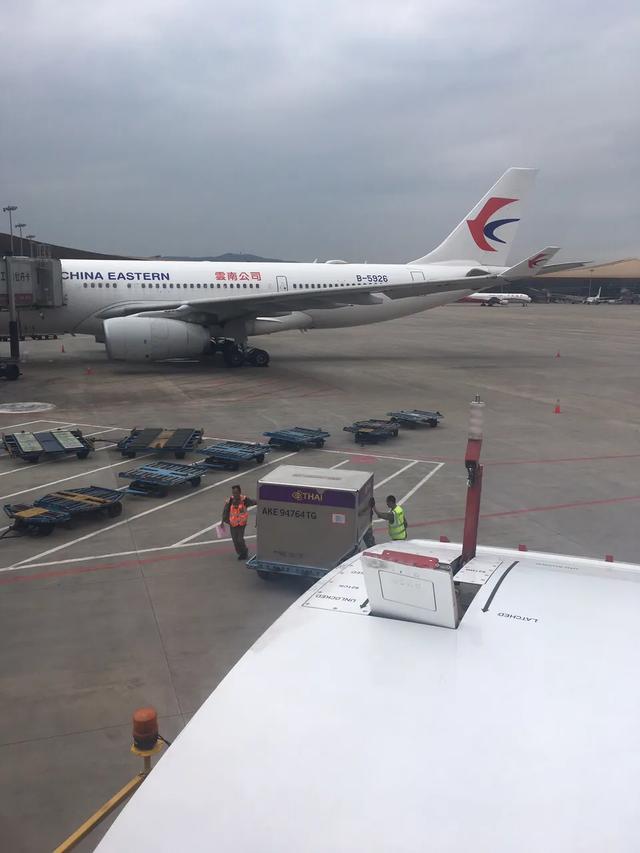 头等舱和经济舱究竟有什么区别,飞机经济舱和头等舱区别