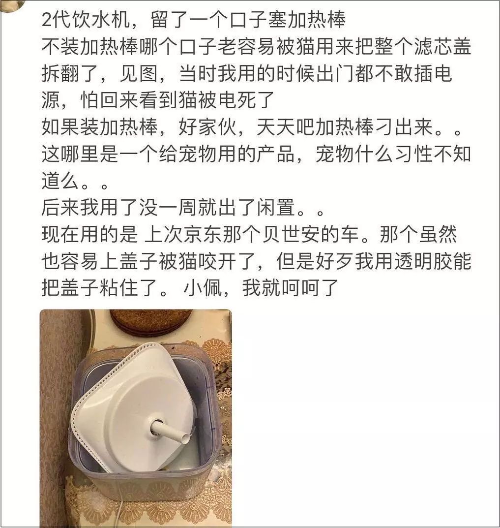 小佩猫窝事件,小佩闷死猫事件