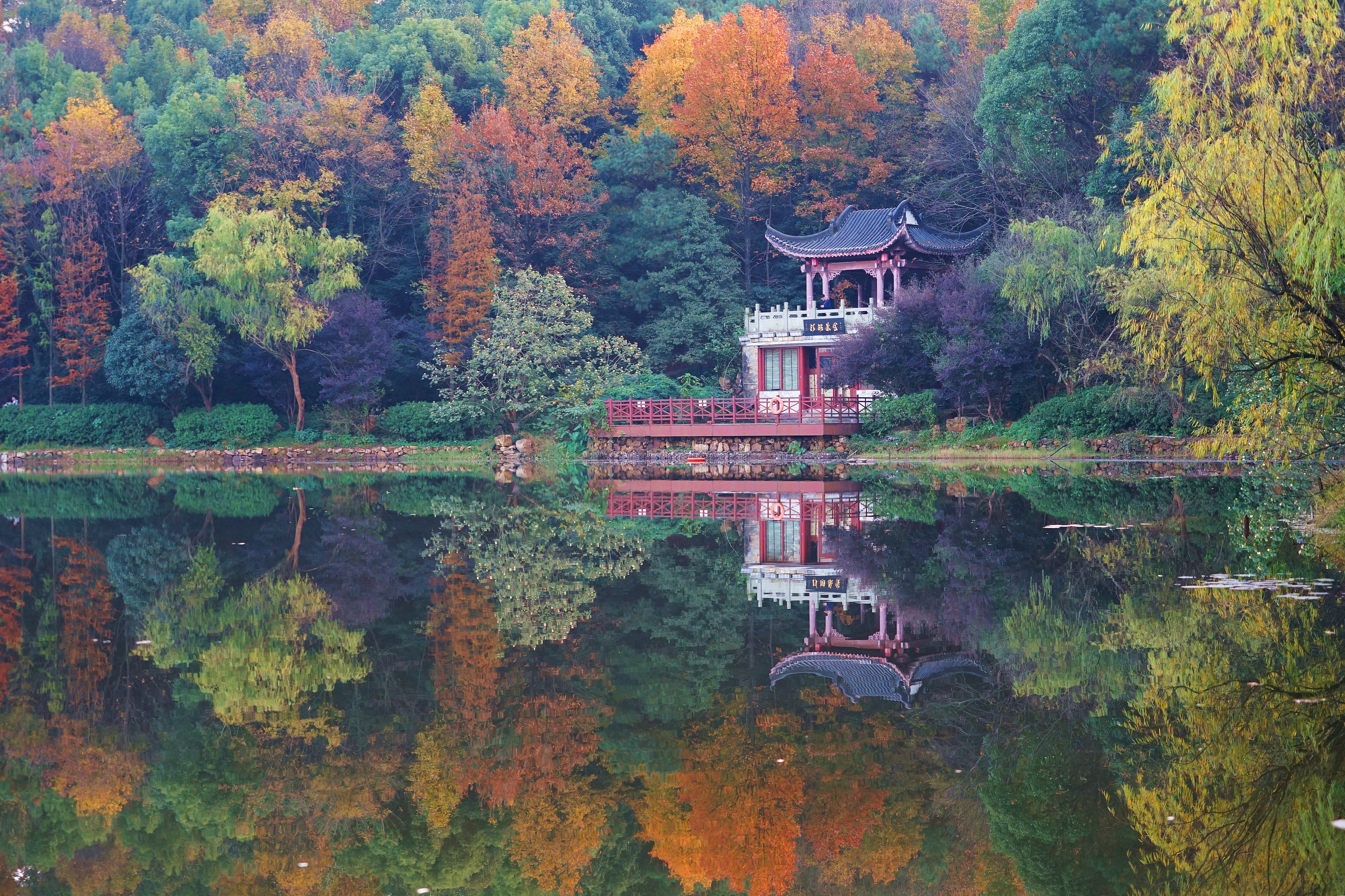 星辰文艺丨王超斌：走过四季，我独爱星城的秋……