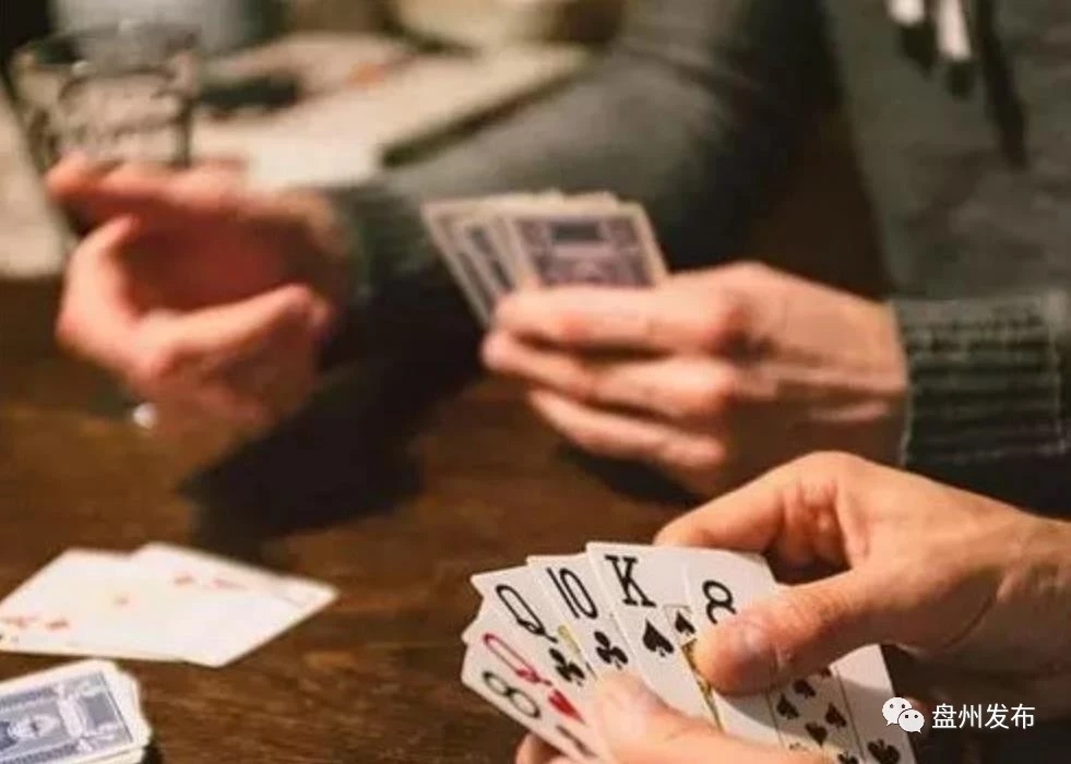 拱猪子介绍,拱猪幽默段子