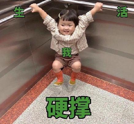 2019年的支付宝账单你看了吗,2023支付宝年度账单大全