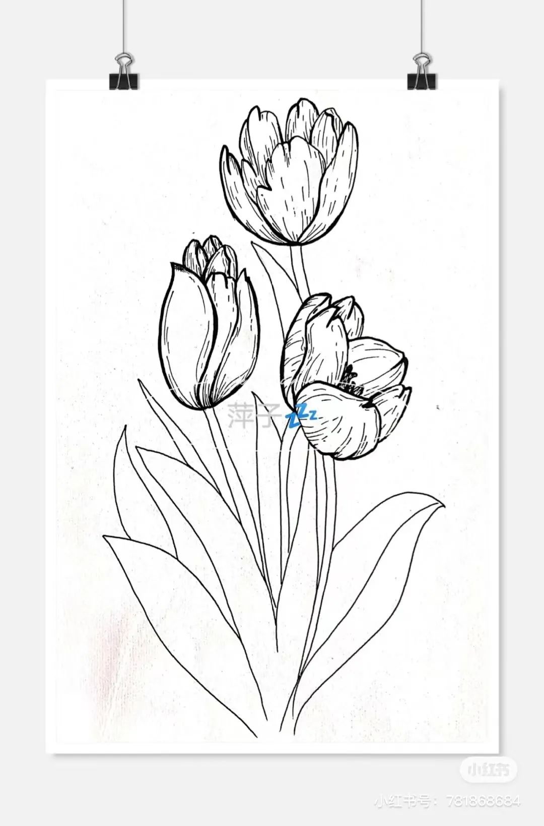 花卉简单线描创意画,花草线描画装饰