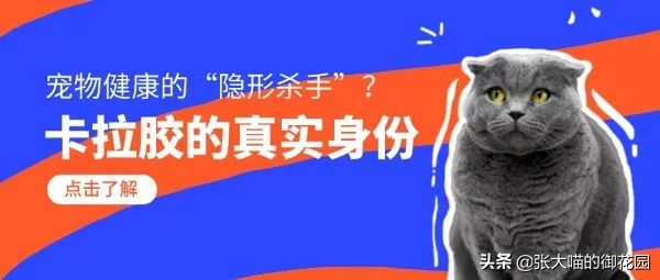 猫咪喂食罐头,罐头中的卡拉胶对人体有害吗