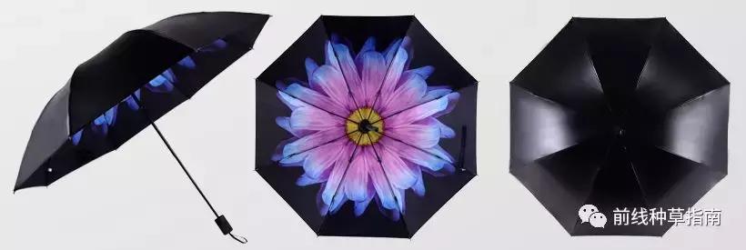 动物防晒VS人类防晒，食物链顶端的我们居然败了？！