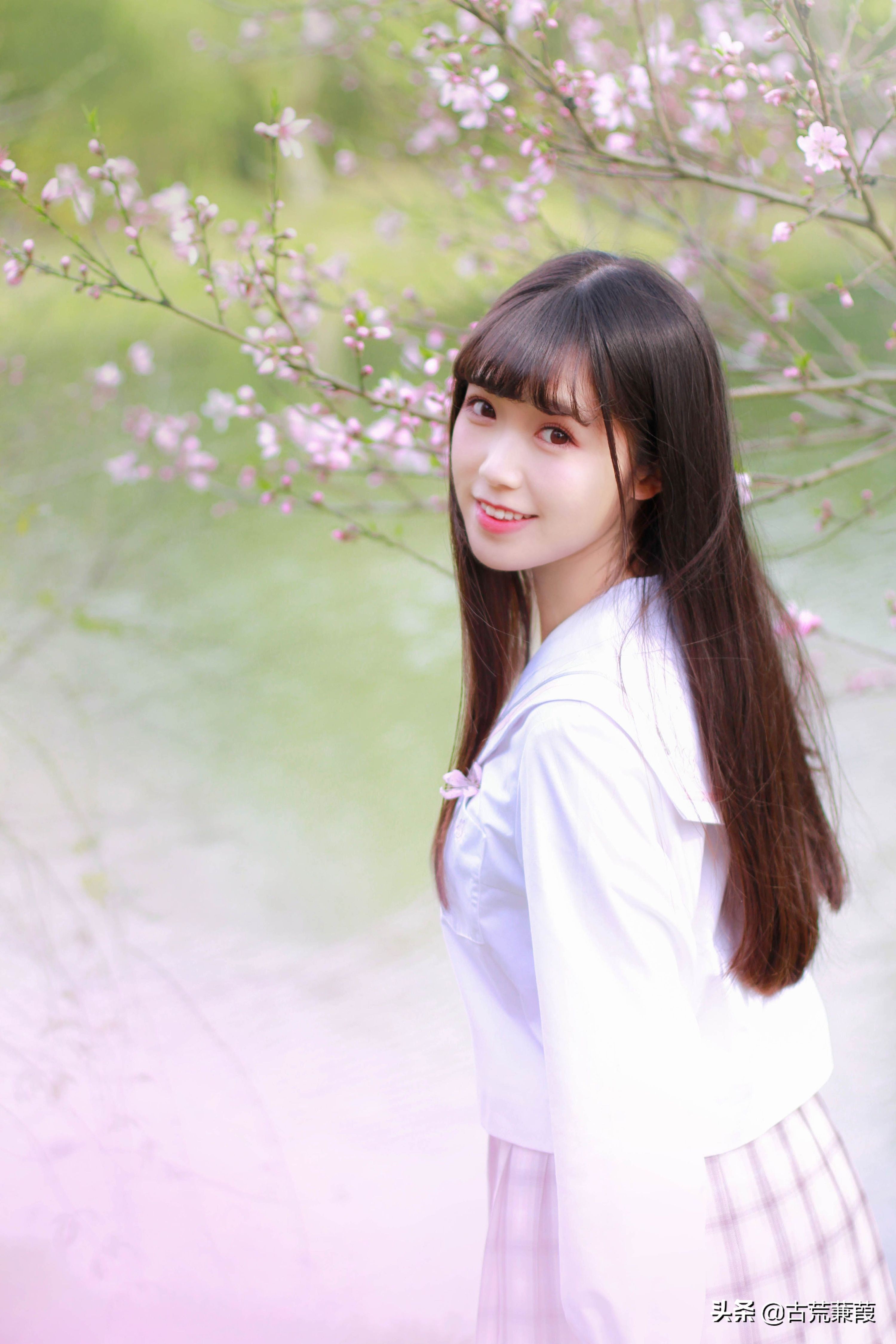 情缘跌宕已如萍，念想缥缈却梦纷