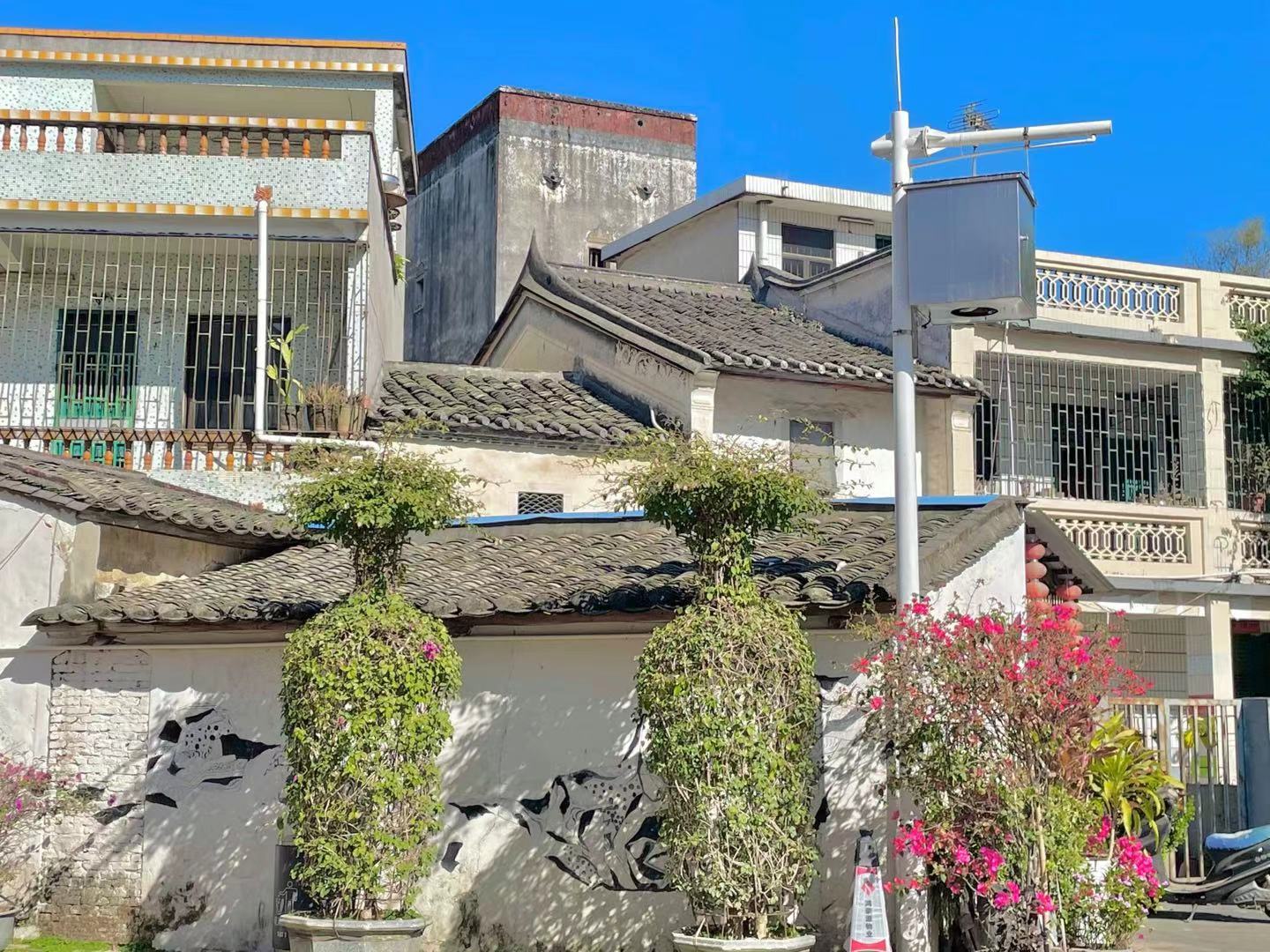 今日深圳龙华旅游攻略,深圳周末龙华去哪玩推荐