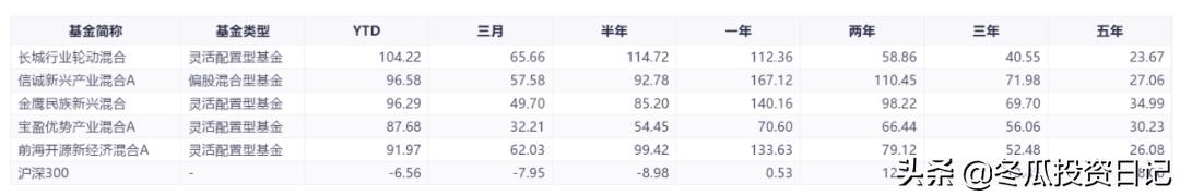 今年哪个基金涨得最好,2021-2026极有可能翻倍的股票基金
