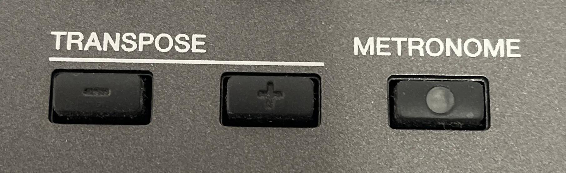 电子琴新手入门音色教程,电子琴最基础的应该先从什么学起