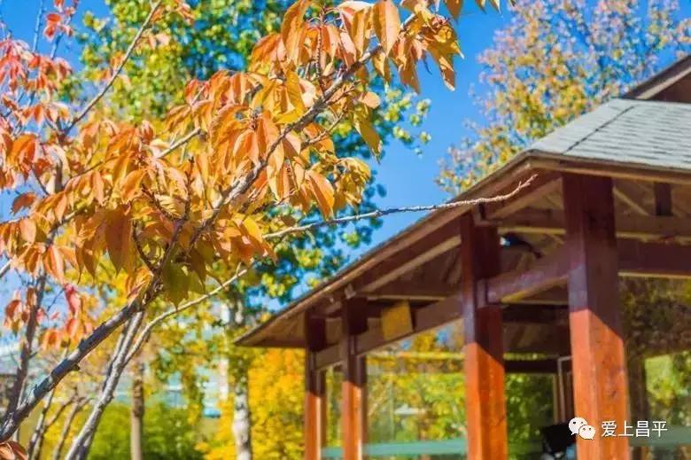 立冬泡汤温泉,立冬啦