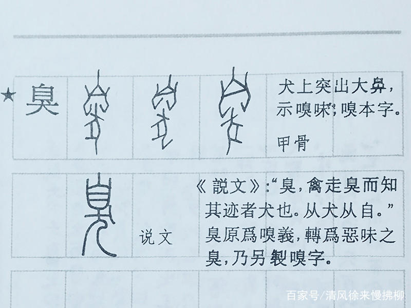 篆刻基础知识讲堂,篆刻过渡之字讲解