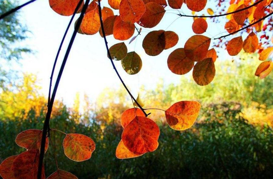 人生真正的迷茫从四十岁开始,人到中年开始思考人生的苦涩了吗