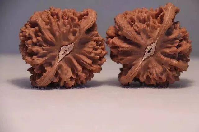 文玩核桃文盘与武盘各有什么好处,文玩核桃不盘的时候要放袋子里吗