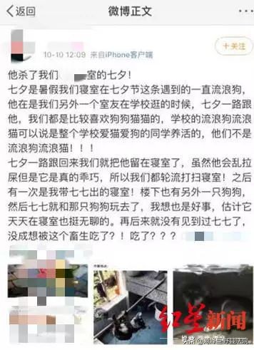 准研究生虐狗事件处理结果,清华博士打死流浪狗引众怒