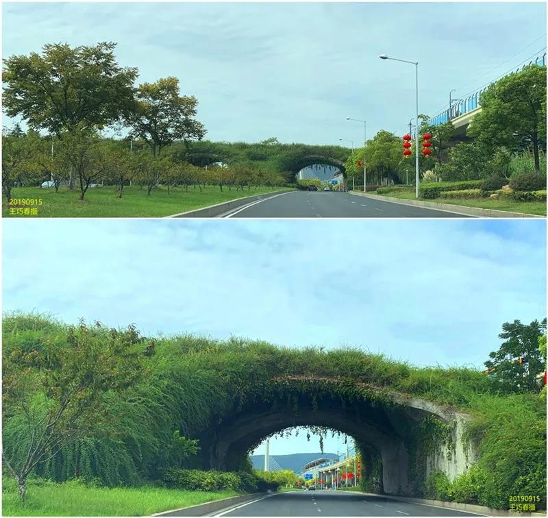 南京仙鹤门凶杀案,南京仙鹤门中学