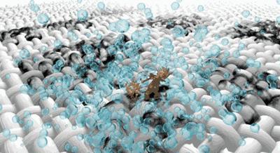 白色衣服脏清洗的神器,脏衣服不用洗只需泡一泡就干净了