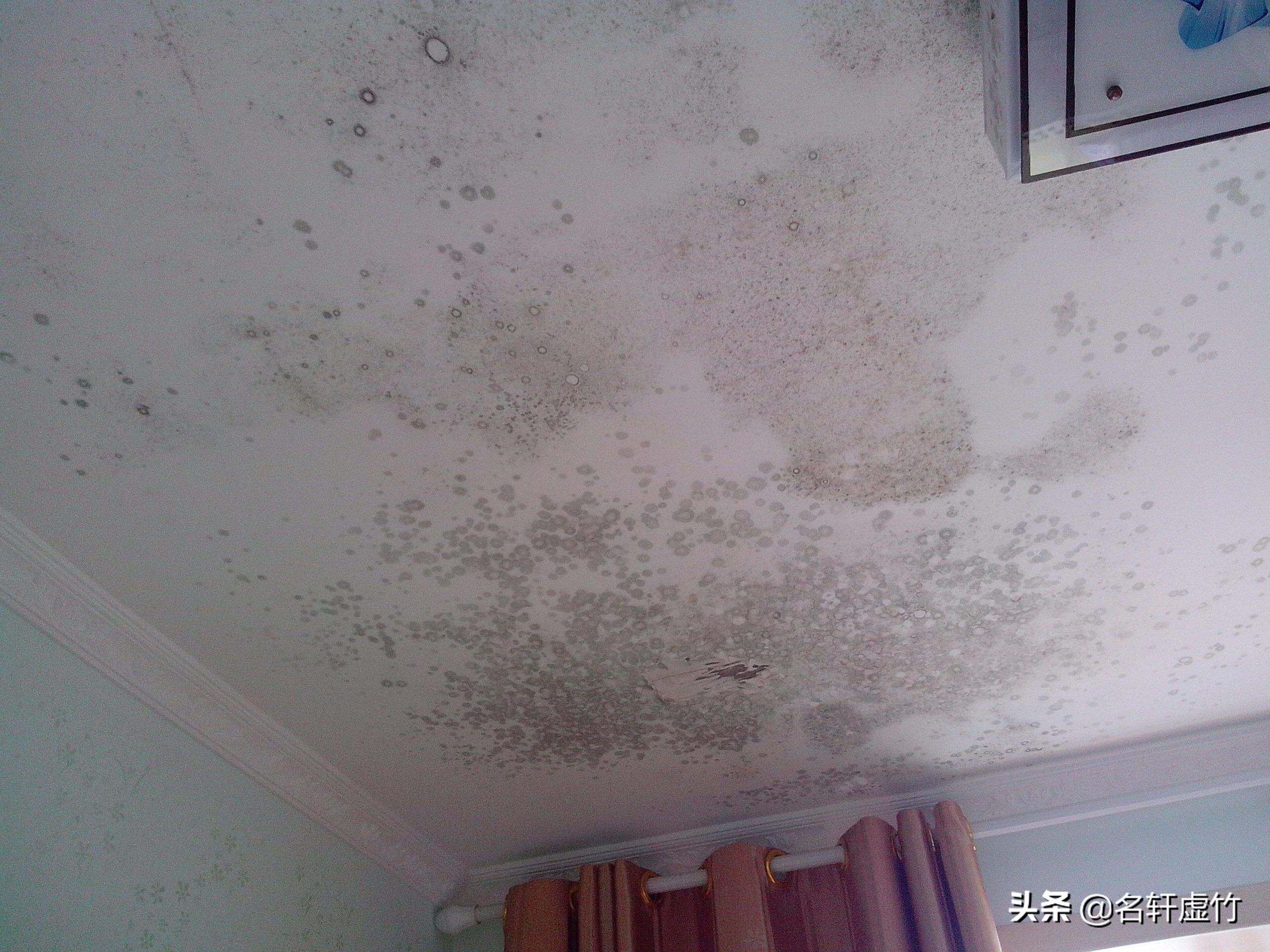 天花板发霉发潮掉墙皮该怎么处理,天花板发霉空鼓起皮什么原因