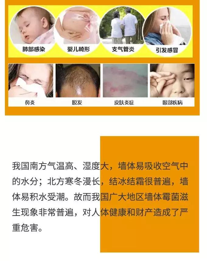 「服务」回南天如何让讨厌的霉菌滚蛋？小卡君教你一招