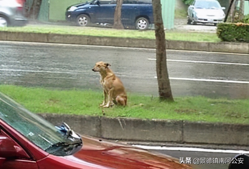 “割声带、截肢、电击，当爱变成我的噩梦”