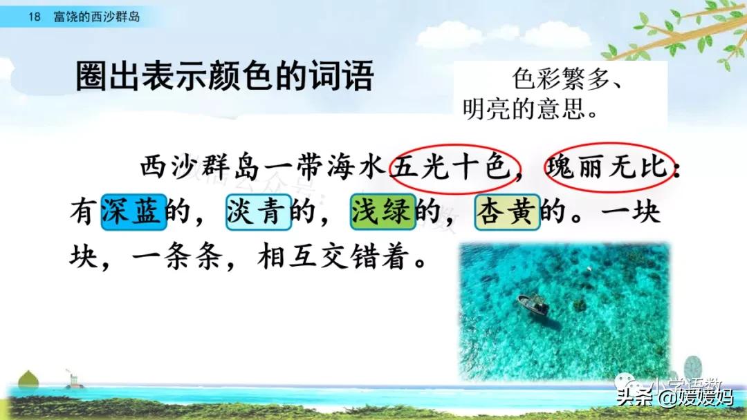 三年级第18课富饶的西沙群岛预习,3年级语文第18课富饶的西沙群岛