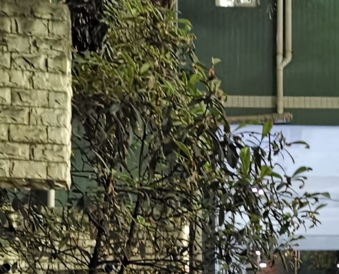 华为p30相机参数是多少,一张图告诉你华为p30拍照