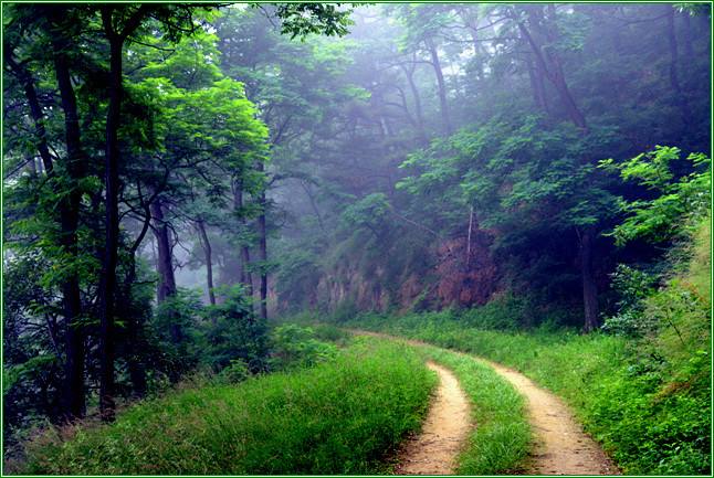 济南南部山区旅游景点排名前十名,济南南部山区必去十大网红景点