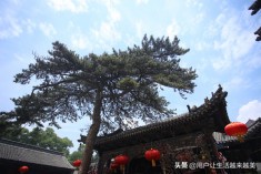 五台山位居四大佛教名山之首,五台山是中国四大佛教名山之首