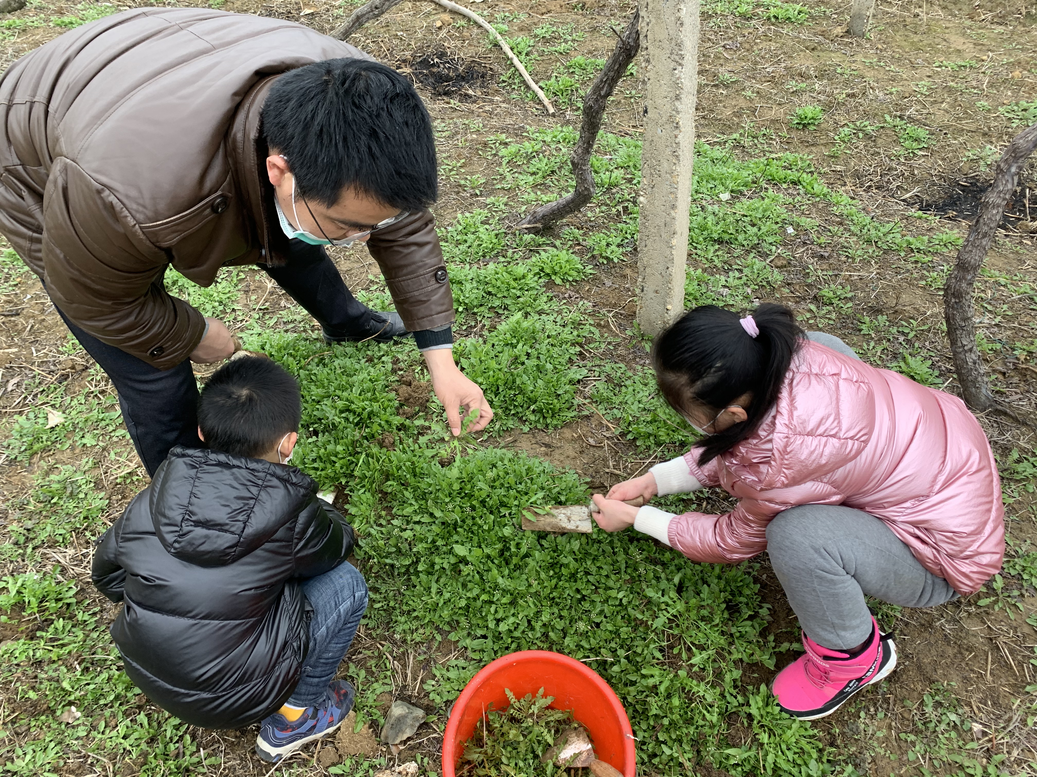 病毒席卷了我们的家园,病毒席卷了世界的每一个角落