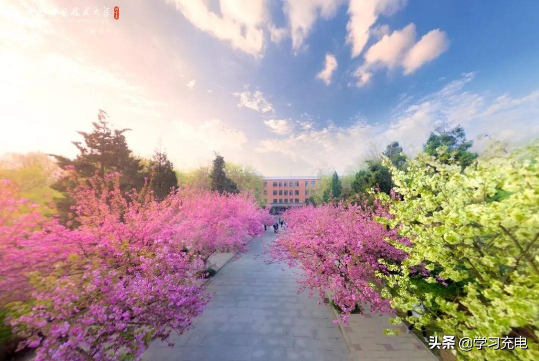 中科大学费和生活费要多少,中科大学费最便宜的专硕